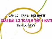 Bài 1.2 SGK Toán 12 tập 1 Kết nối tri thức